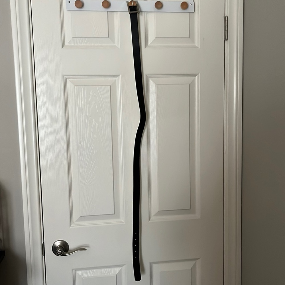 Black belt with silver buckle